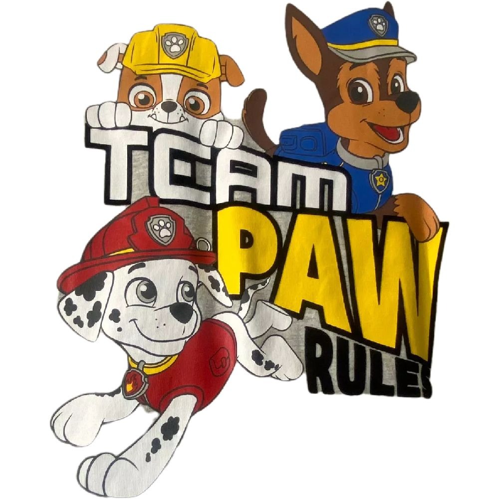 Paw Patrol Team Paw Rules 2pc Jogger Set Size 5T